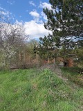 Продава ПАРЦЕЛ, с. Синаговци, област Видин, снимка 2
