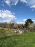Продава ПАРЦЕЛ, с. Синаговци, област Видин, снимка 5