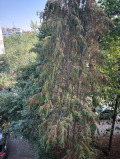 Продава 3-СТАЕН, град София, Младост 1 • 240000 € • 67428655 — Holmes.bg