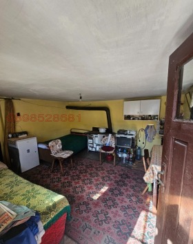 ������ ������� ����