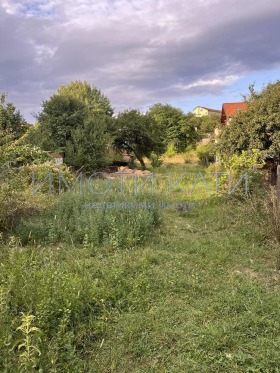 In vendita Complotto