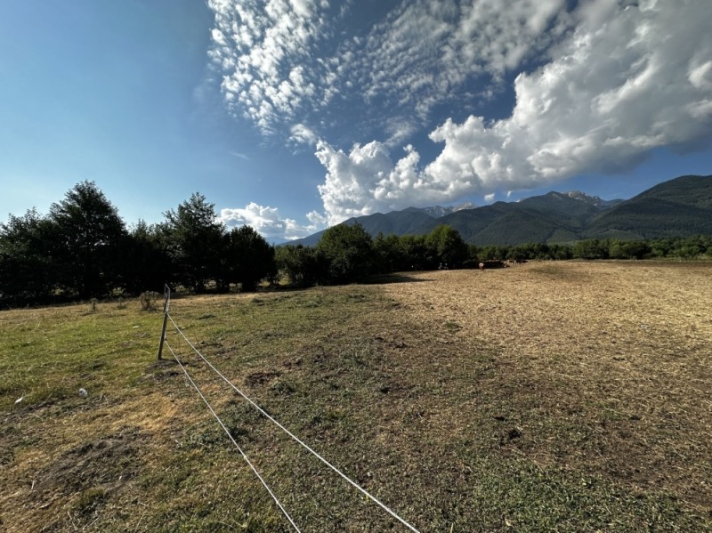 Til salgs  Plott region Blagoevgrad , Razlog , 709 kvm | 48381951 - bilde [2]