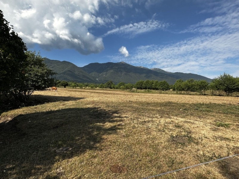 Til salgs  Plott region Blagoevgrad , Razlog , 709 kvm | 48381951 - bilde [3]