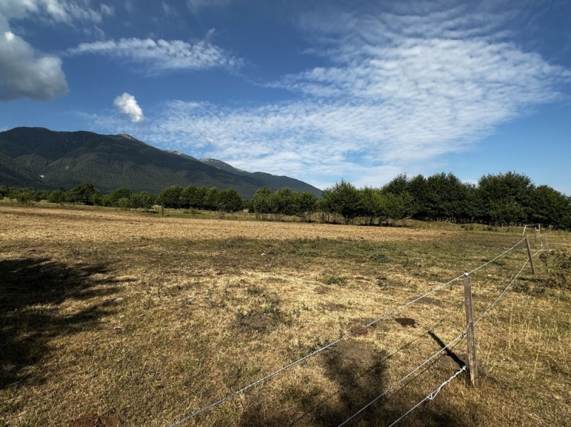 Til salgs  Plott region Blagoevgrad , Razlog , 709 kvm | 48381951 - bilde [4]