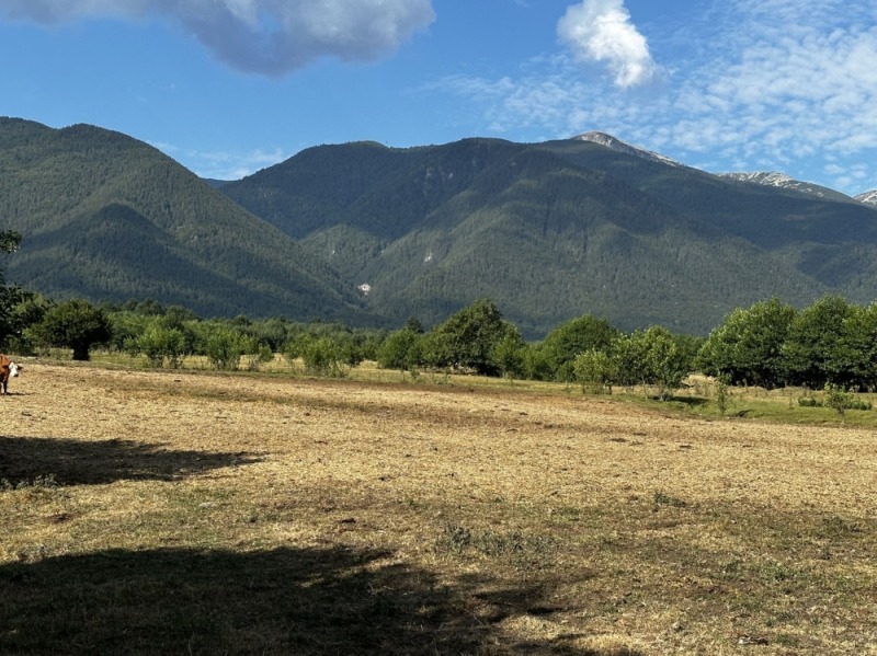 Til salgs  Plott region Blagoevgrad , Razlog , 709 kvm | 48381951 - bilde [5]
