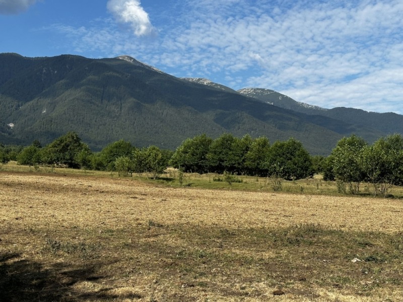 Til salgs  Plott region Blagoevgrad , Razlog , 709 kvm | 48381951 - bilde [6]