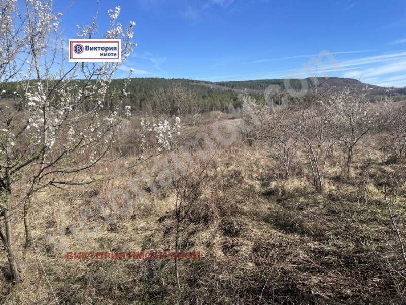 Продава ПАРЦЕЛ в област Велико Търново, с. Малки чифлик - 3000 кв.м / 46 500 € » 90 946.10 лв., ВИКТОРИЯ ИМОТИ ЕООД
