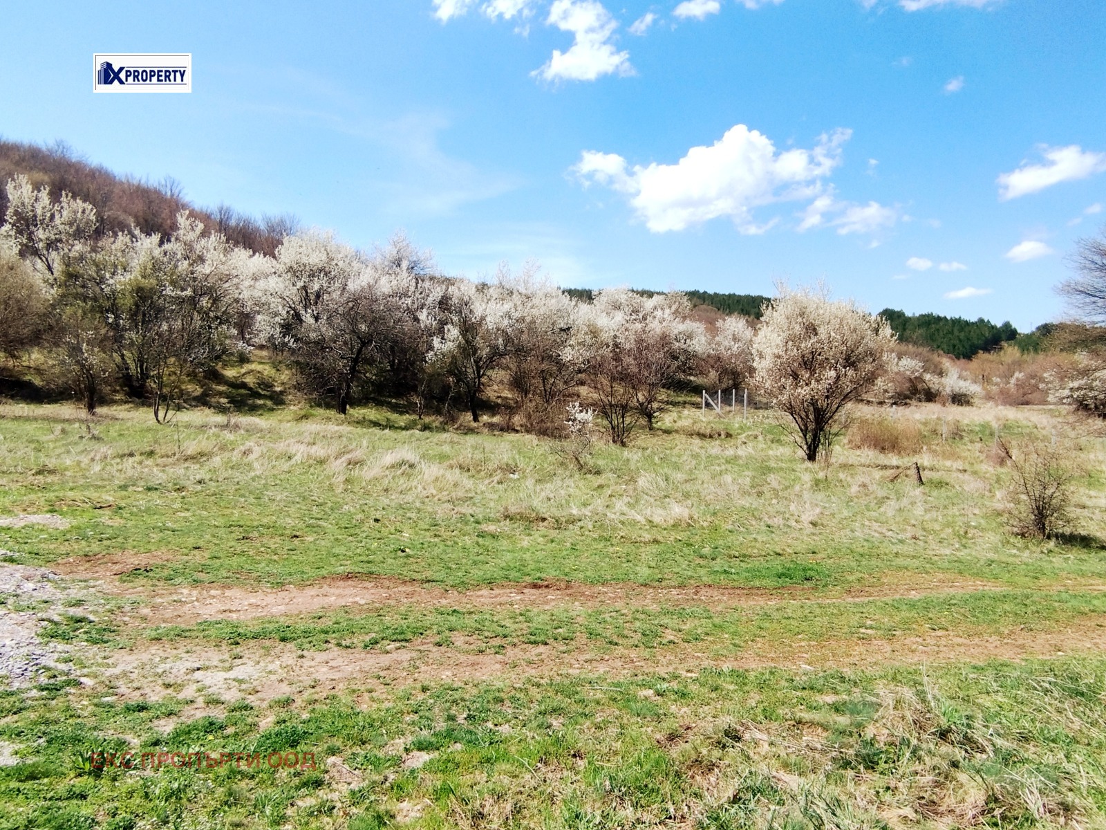 ������� ������ | Imot.bg � ����������� 4