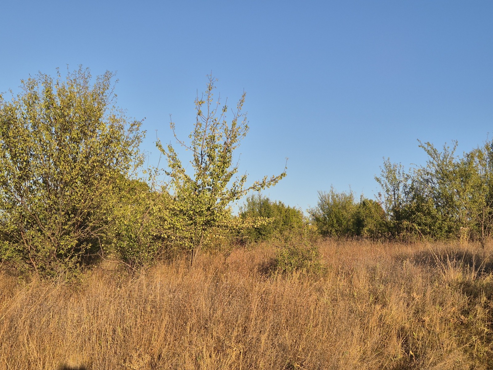 ������� ������ | Imot.bg � ����������� 10