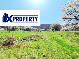 ������ ������� ������