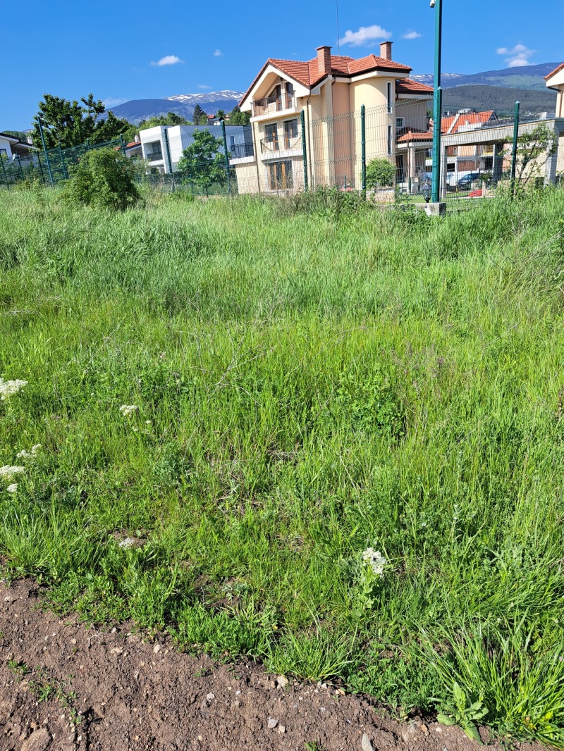 Προς πώληση  Οικόπεδο Σοφηια , Παντσαρεβο , 5298 τ.μ | 33796934