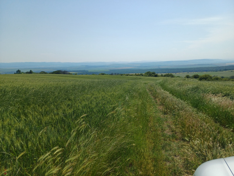 Zu verkaufen  Handlung region Varna , Awren , 3260 qm | 71956487 - Bild [2]