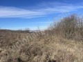 Продава ПАРЦЕЛ, с. Малки чифлик, област Велико Търново, снимка 2