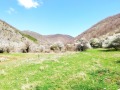 Продава ПАРЦЕЛ, с. Боснек, област Перник, снимка 3