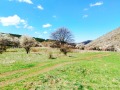 Продава ПАРЦЕЛ, с. Боснек, област Перник, снимка 2
