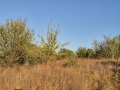 Продава ПАРЦЕЛ, с. Шемшево, област Велико Търново, снимка 10