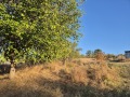 Продава ПАРЦЕЛ, с. Шемшево, област Велико Търново, снимка 1