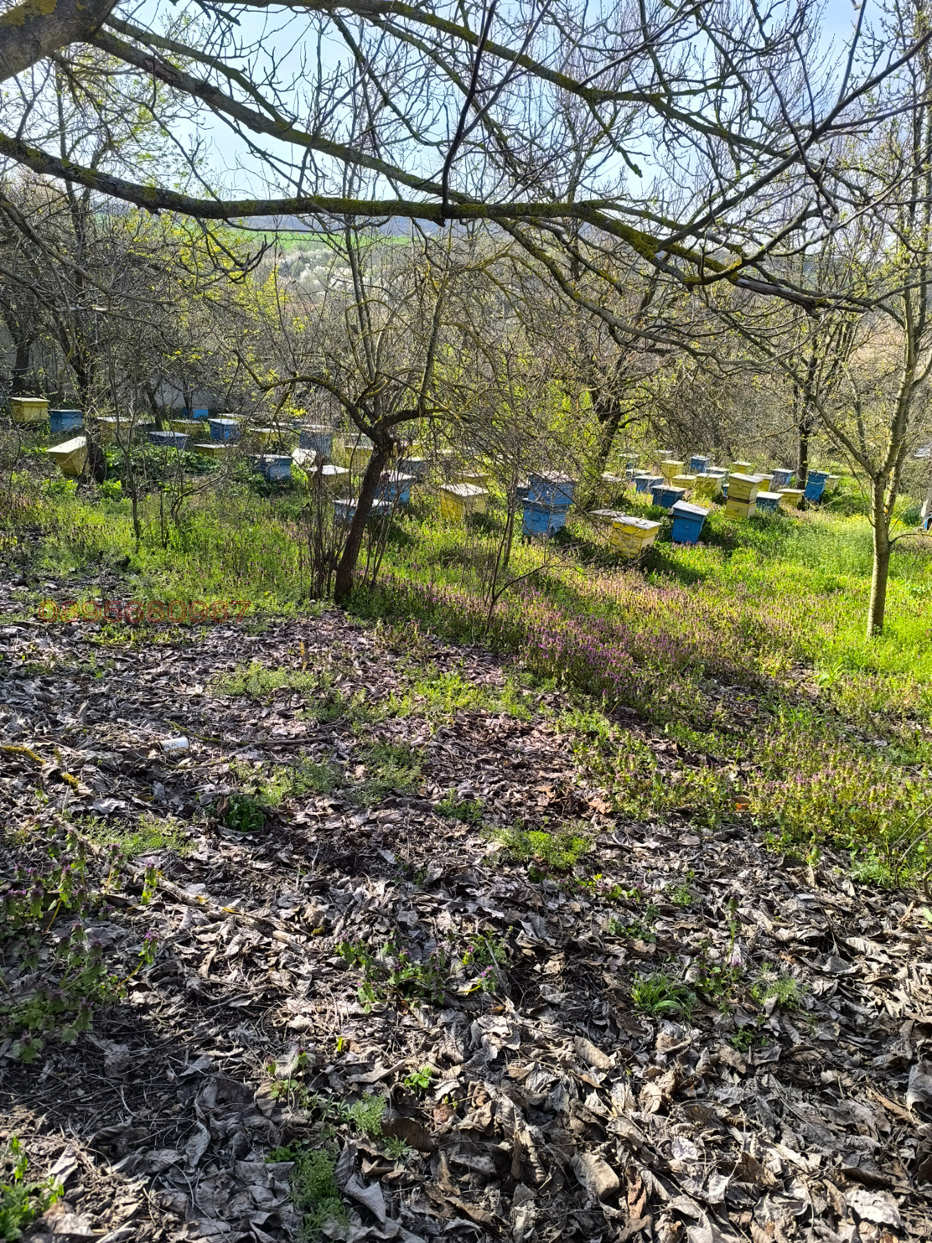 ������� ���� | Imot.bg � ����������� 17