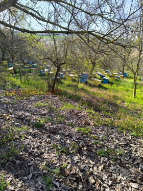������� ���� | Imot.bg � ����� ������ 17