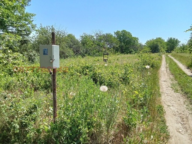 Продава ПАРЦЕЛ, гр. Плевен, м-т Мъртва долина, снимка 8 - Парцели - 52784139