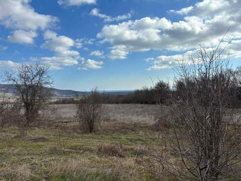 In vendita  Complotto regione Dobrič , Rogachevo , 1196 mq | 16613674 - Immagine [2]