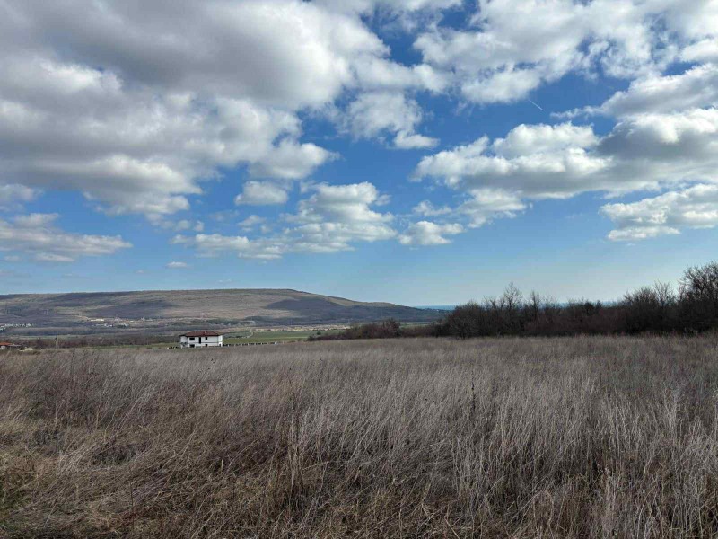 In vendita  Complotto regione Dobrič , Rogachevo , 1196 mq | 16613674 - Immagine [4]