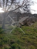 Продава КЪЩА, област Пловдив, с. Бегово • 50000 € • 56132045 — Holmes.bg