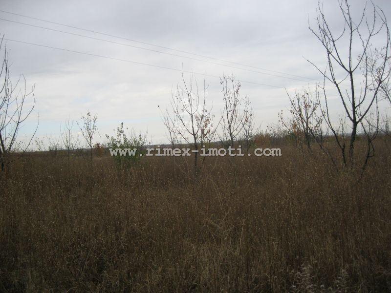 ������� ������ | Imot.bg � ����������� 12