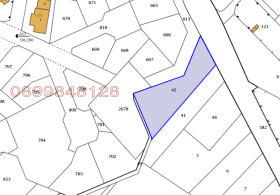 ����� ������� ������,��. ��������, ������ �����