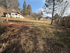 ������ ������� ������