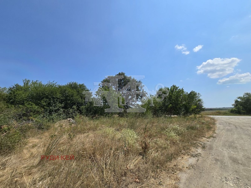 For Sale  Plot region Varna , Osenovo , 3009 sq.m | 36547619 - image [4]