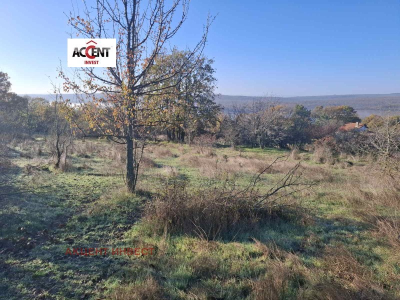 Продава ПАРЦЕЛ, с. Здравец, област Варна, снимка 2 - Парцели - 52451491