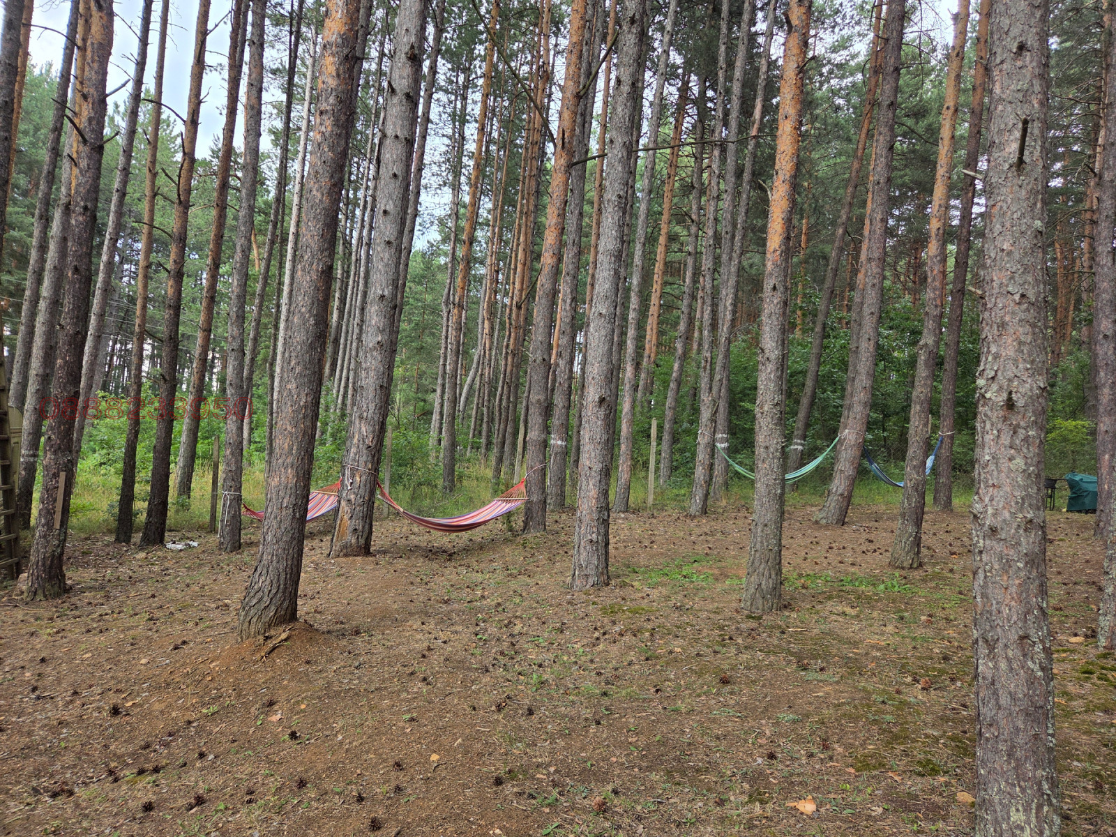 Продава ПАРЦЕЛ, гр. София, м-т яз. Искър, снимка 4 - Парцели - 55430343