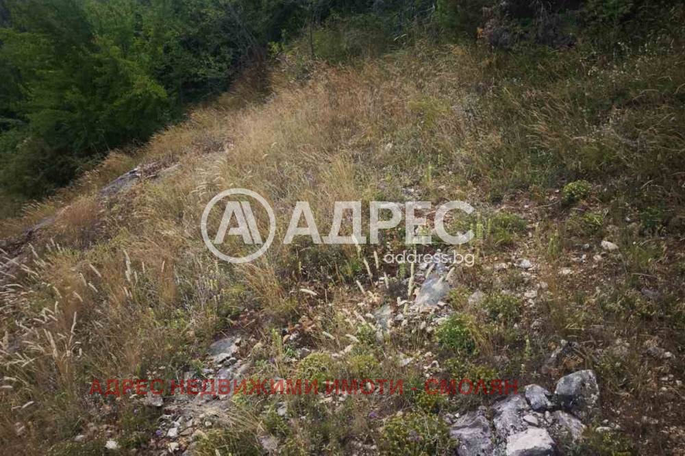 ������� ������ | Imot.bg � ����������� 2
