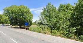 ����� ������� ������,������ ��� �83, ������ ������