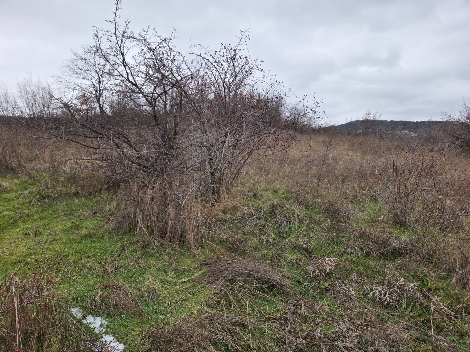Продава ЗЕМЕДЕЛСКА ЗЕМЯ, гр. Варна, област Варна, снимка 4 - Земеделска земя - 54206024