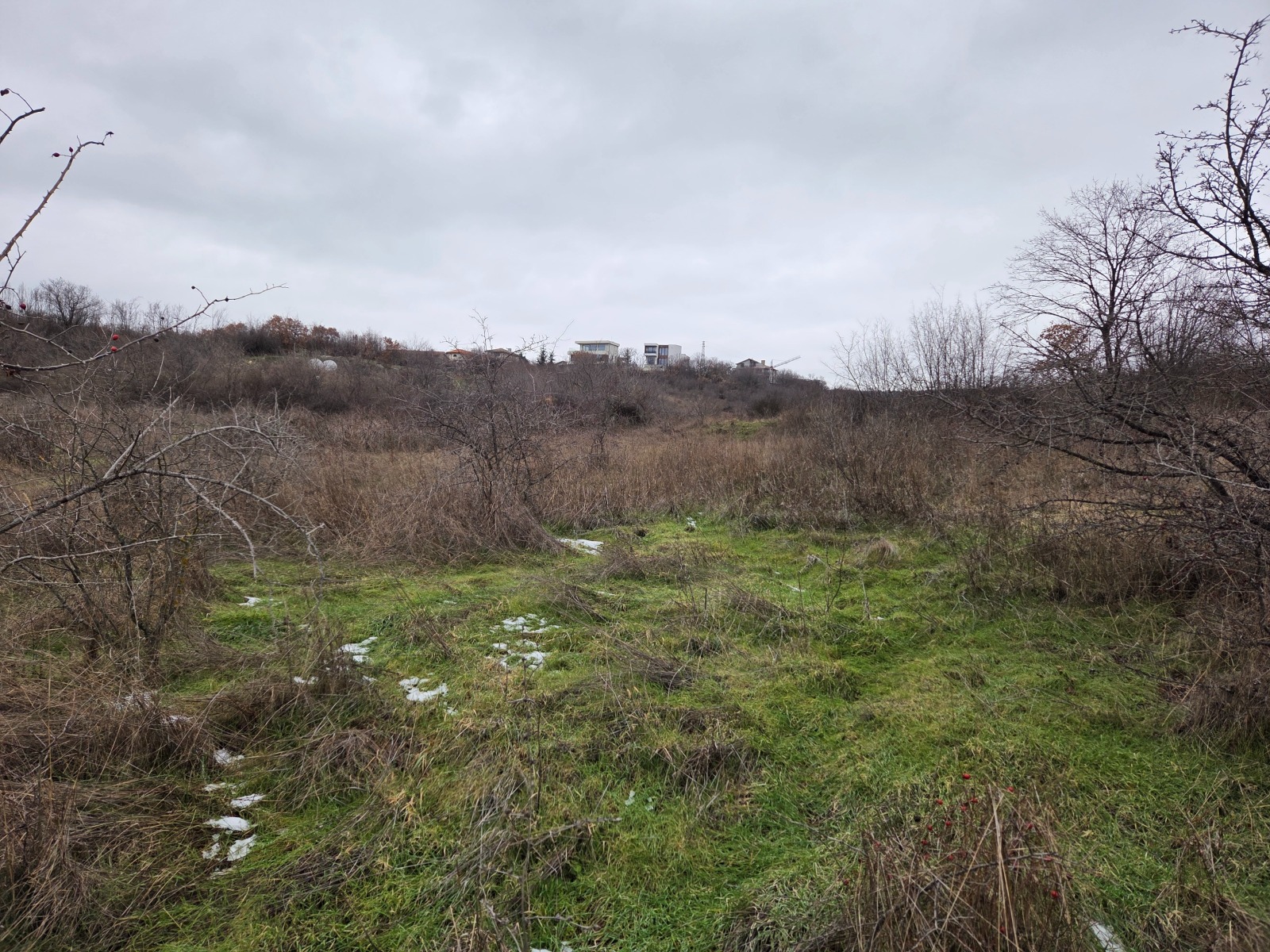 Продава ЗЕМЕДЕЛСКА ЗЕМЯ, гр. Варна, област Варна, снимка 5 - Земеделска земя - 54206024