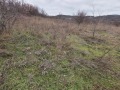 Продава ЗЕМЕДЕЛСКА ЗЕМЯ, гр. Варна, област Варна, снимка 3