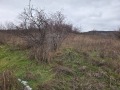 Продава ЗЕМЕДЕЛСКА ЗЕМЯ, гр. Варна, област Варна, снимка 4