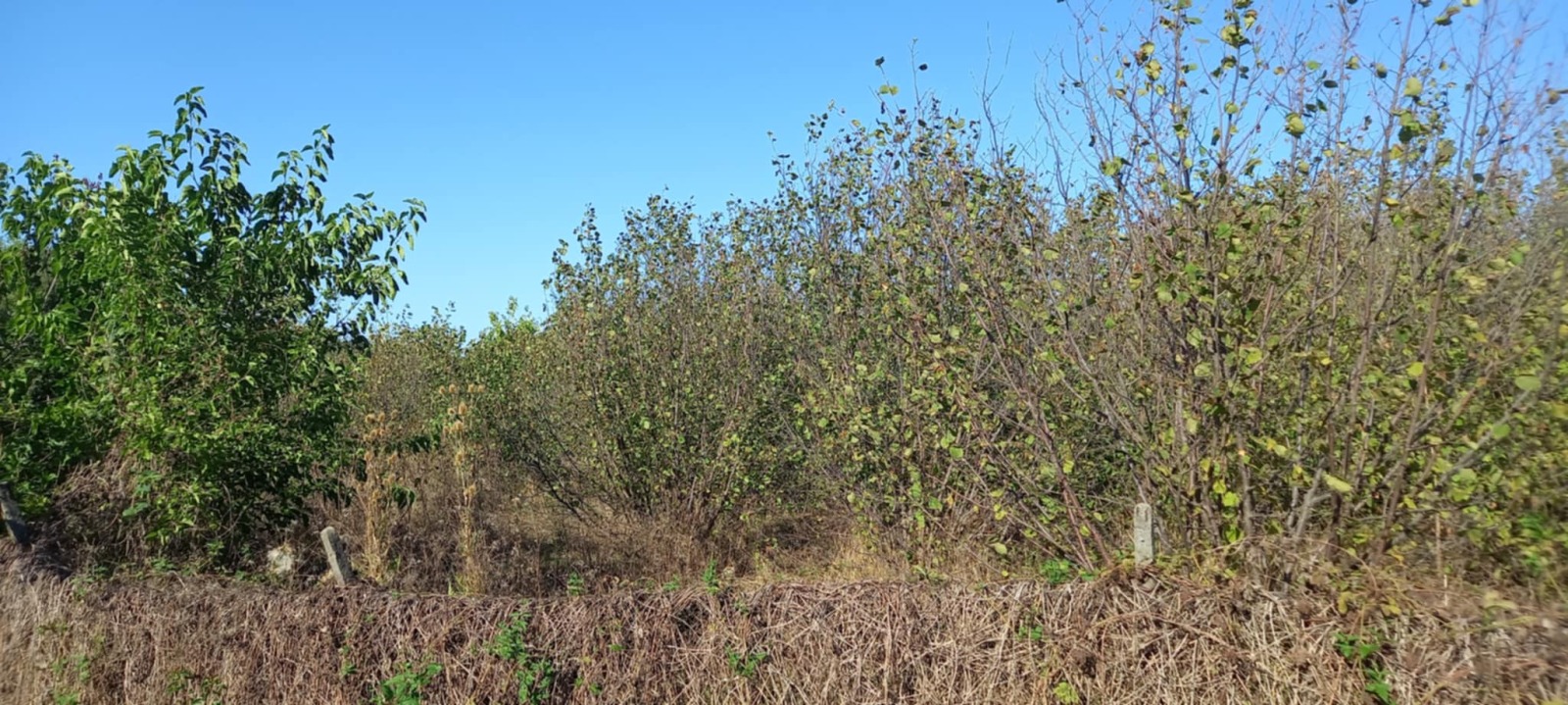 ������� ������ | Imot.bg � ����������� 5