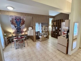 ����� ������� 3-�����,��. ����� ����, ������ ������