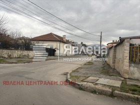 ����� ������� ����,���� �����, ���������