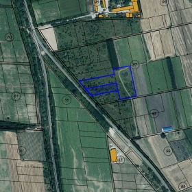 ПАРЦЕЛ, 15 999 m2