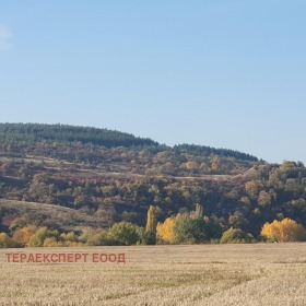 Teren Bojuriște, regiunea Sofia 1