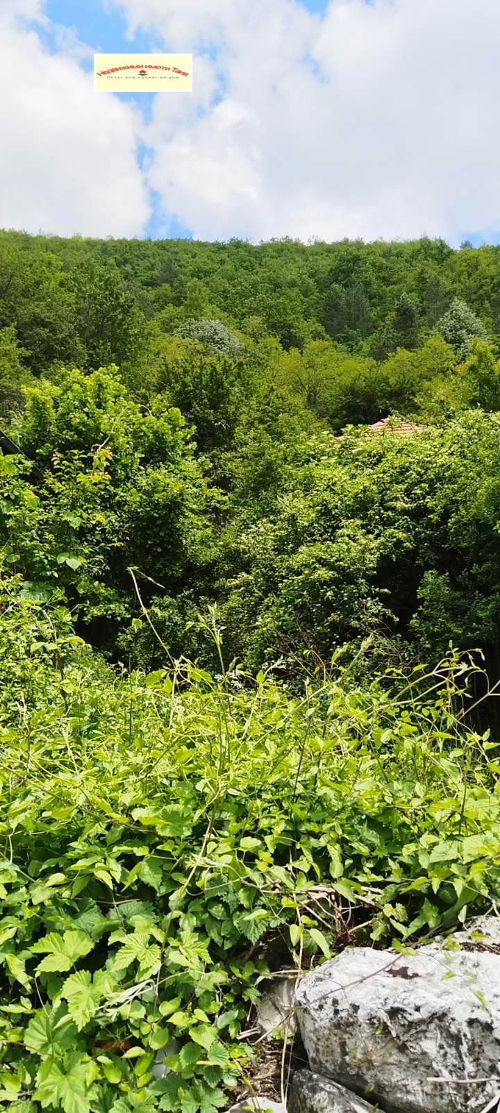 Προς πώληση  Οικόπεδο περιοχή Πέρνικ , Βανκια , 332 τ.μ | 53884849 - εικόνα [6]