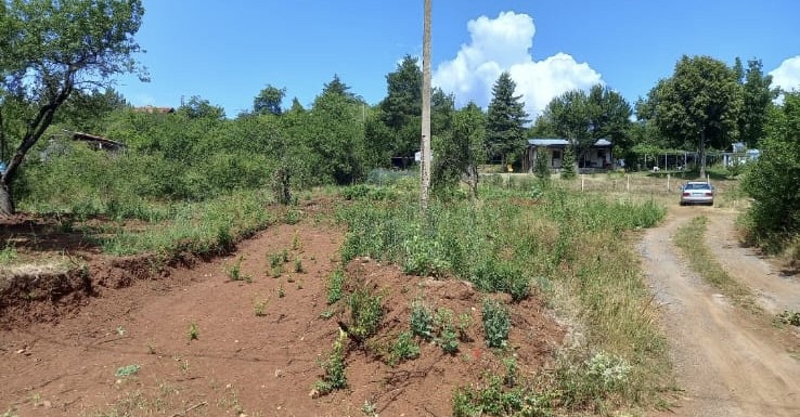 Satılık  Komplo bölge Sofia , Eleşnica , 700 metrekare | 55570199 - görüntü [3]