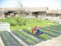 Продава КЪЩА, с. Салманово, област Шумен, снимка 14