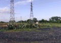 Продава  Земеделска земя област Бургас , с. Константиново , 24.5 дка | 41080917 - изображение [2]