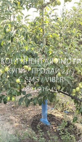 ������� ���������� ���� | Imot.bg � ����������� 2