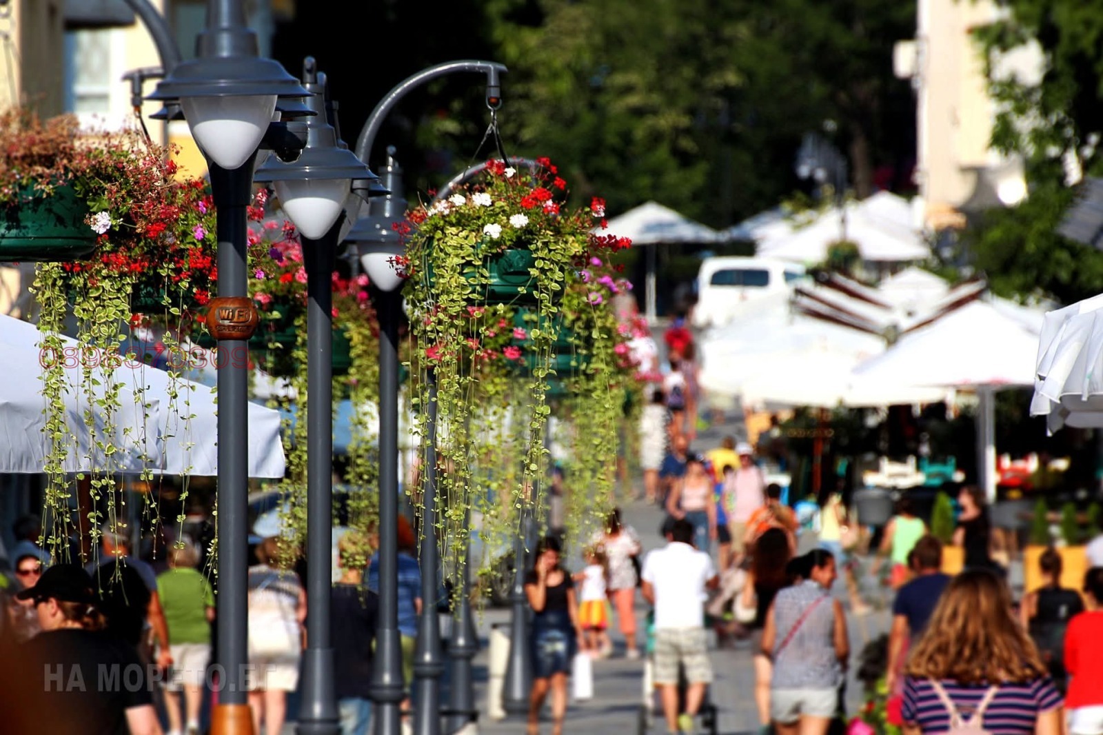 ������� 1-����� | Imot.bg � ����������� 8